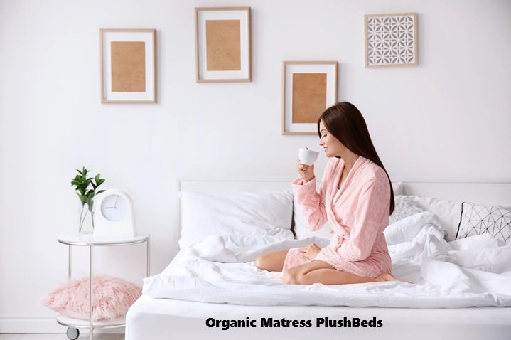 Organic Matress PlushBeds