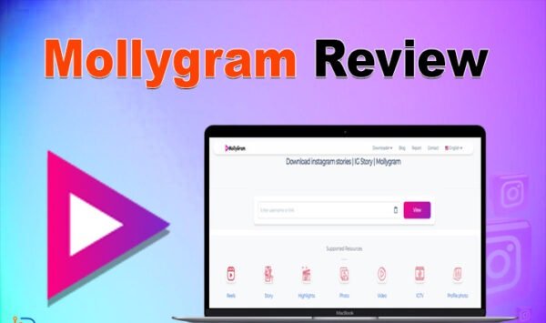 Mollygram Review