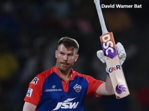 David Warner Bat